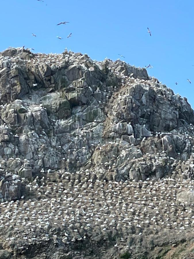 Gites Le Rucher De Kerillis Plouguiel Εξωτερικό φωτογραφία