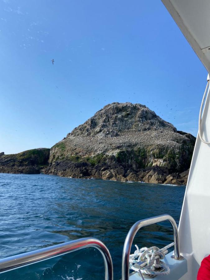 Gites Le Rucher De Kerillis Plouguiel Εξωτερικό φωτογραφία